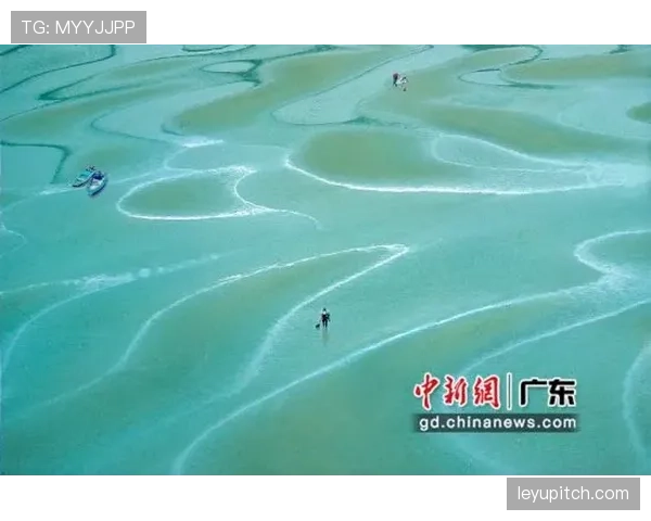 富里睡醒发现自家马场又多了一匹新马，账单比拳赛还长
