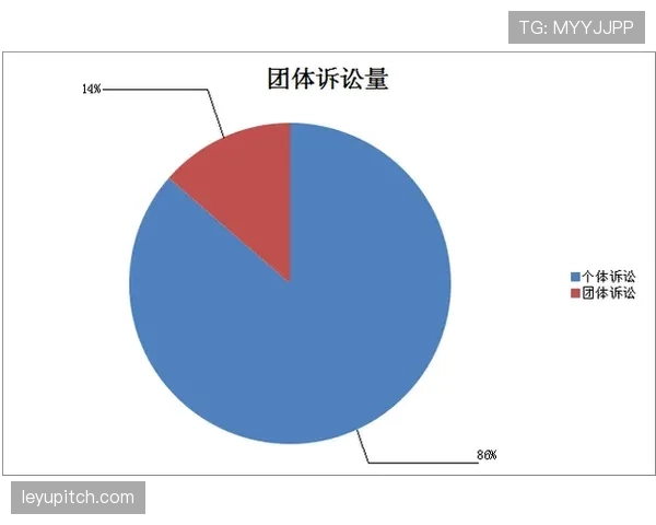 裁判报告要点解读：判罚记录、事实陈述与纪律依据